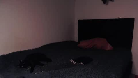 Snapshot of black_firex chatting on October 2025 09:34:02 PM black_firex online show from October 2025 09:34:02 PM