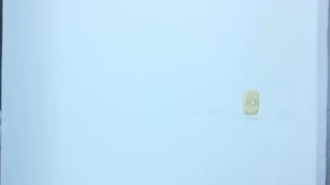 black_treassure online show from February 2026 05:35:01 AM