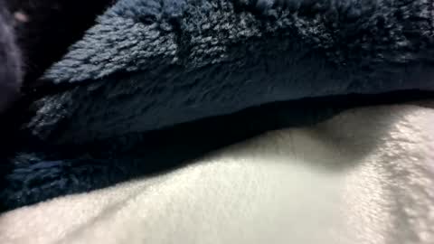 blackhammer8787 online show from December 2024 06:43:02 AM