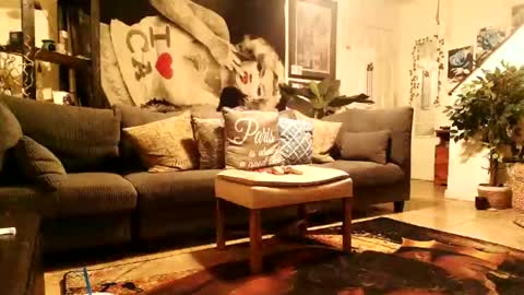 blackriches96 online show from February 2026 08:33:01 AM