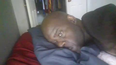 blackteddybear online show from January 2026 03:05:02 PM