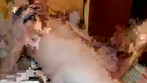 blagoy07 online show from December 2025 11:09:02 PM