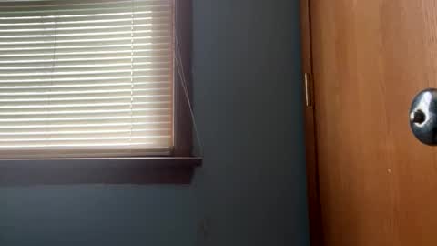 Snapshot of blissfulfoxtrot chatting on April 2026 01:38:02 PM Blissful Foxtrot online show from April 2026 01:38:02 PM