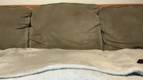 blondiedicks1 online show from September 2025 01:12:01 PM