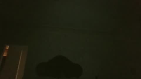 Snapshot of bluemoose70 chatting on April 2026 02:55:01 AM bluemoose70 online show from April 2026 02:55:01 AM