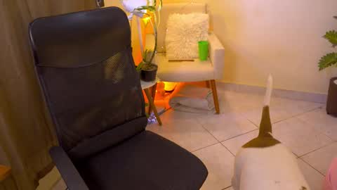 FLORAA online show from February 2026 01:18:02 PM