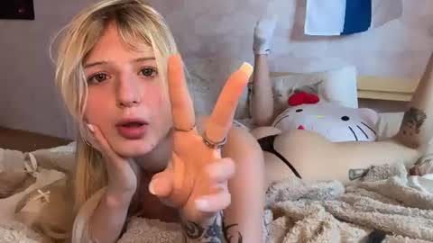 Delle online show from June 2026 08:41:01 AM