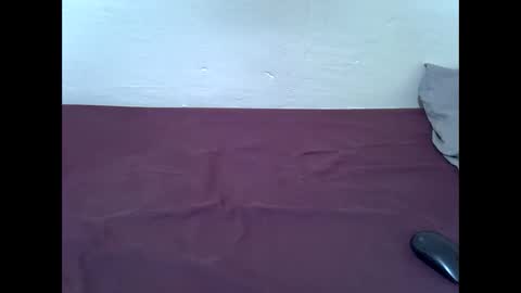 Bunny online show from February 2026 12:14:02 AM