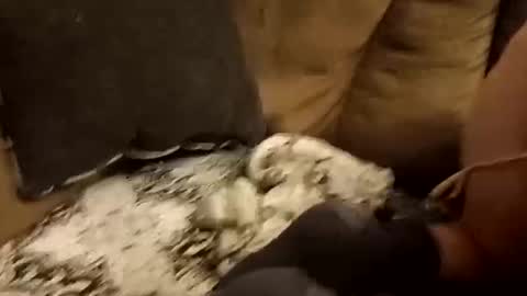 Assdrtyasuwant online show from September 2025 01:49:01 PM