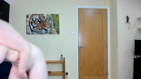 to see lou offline  online show from December 2024 11:18:02 AM