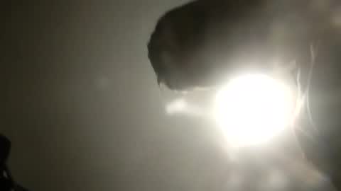 bobby160968 online show from February 2025 06:26:02 PM