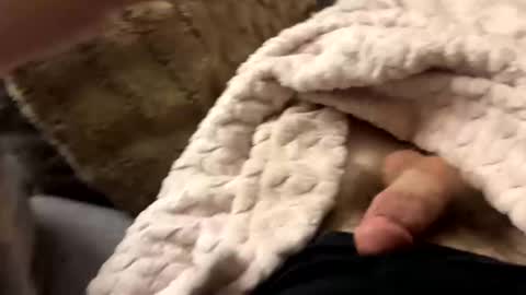 bobdillon401 online show from January 2025 06:20:01 AM