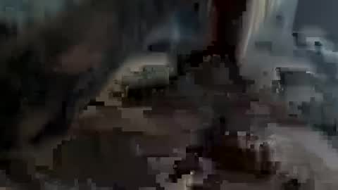 bobdillon401 online show from February 2025 05:24:01 PM