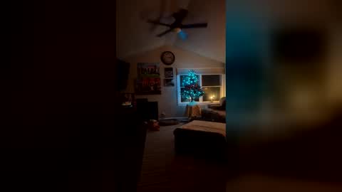 bodiddly64 online show from December 2025 06:19:02 AM