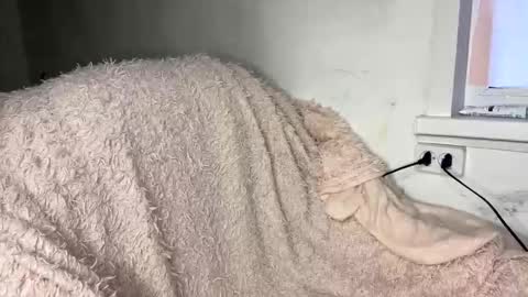 bohemia777 online show from April 2026 01:33:02 PM