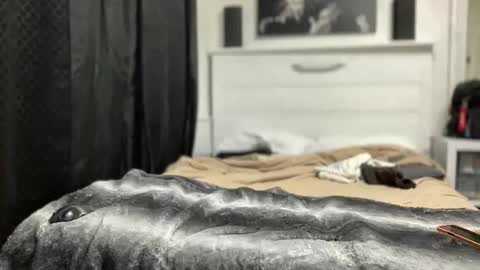 boner4you1994 online show from April 2026 04:23:02 AM