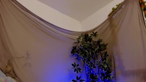   online show from October 2025 11:47:01 PM