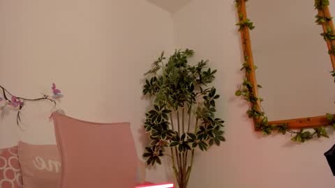   online show from October 2025 12:32:02 AM