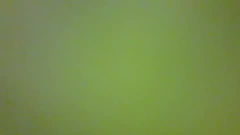 bonniediamond online show from October 2025 06:52:02 PM