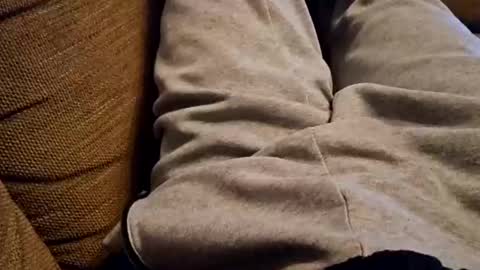 bonny8723 online show from December 2024 07:42:01 PM