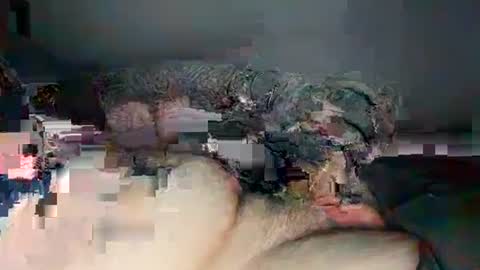 ConvictEdge online show from December 2024 07:28:01 AM