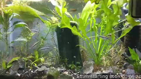 Booker Baxton online show from November 2025 04:00:01 AM