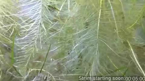 Booker Baxton online show from February 2026 04:06:01 AM