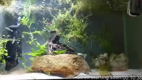 Booker Baxton online show from March 2026 03:01:02 AM