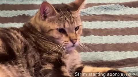 Booker Baxton online show from April 2026 03:12:01 AM