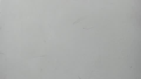 Snapshot of boomboomhoot chatting on January 2025 07:05:01 PM Maggie and Jay  online show from January 2025 07:05:01 PM