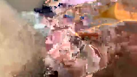boots209 online show from June 2026 09:57:01 PM