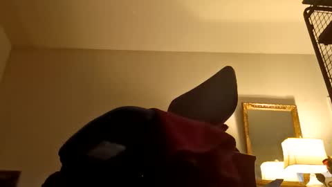 boredaf6678 online show from February 2026 11:53:02 PM