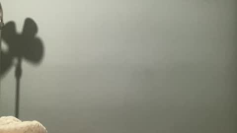 boselythornton1 online show from March 2026 06:57:01 AM