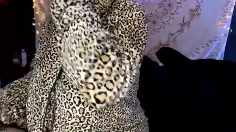 BossMom online show from December 2024 04:33:01 AM