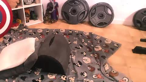 Pumpkin Butt online show from April 2026 07:51:02 PM