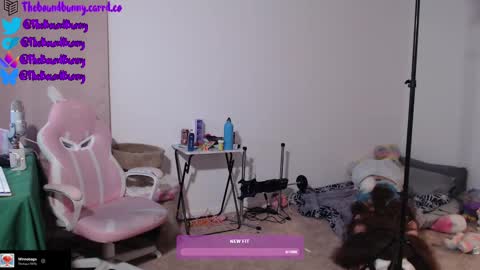 TheBoundBunny online show from March 2025 02:09:01 AM