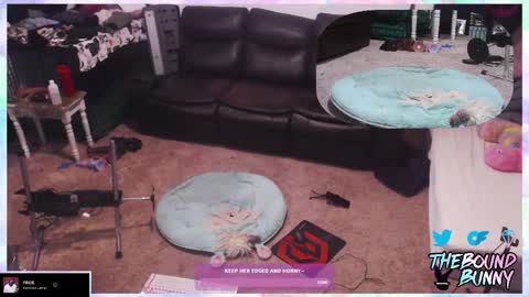 TheBoundBunny online show from March 2026 01:13:01 AM