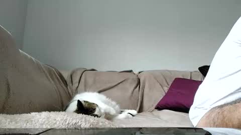 Dan online show from April 2026 01:29:02 PM