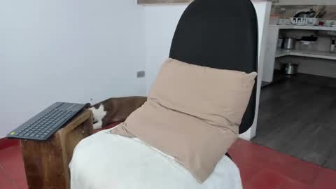 boy_jerry online show from December 2024 02:38:01 PM