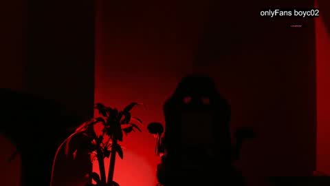 boyc02_ online show from December 2024 12:03:02 AM