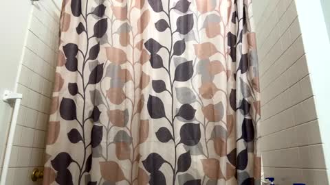 boysetsfire34 online show from February 2025 09:32:02 PM