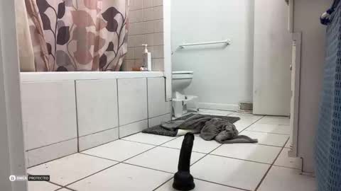 boysetsfire34 online show from October 2025 05:16:02 AM