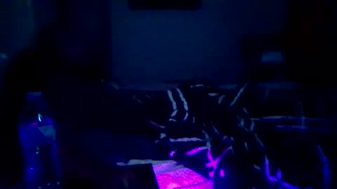 GuitarBrad1989 online show from June 2026 09:19:02 AM