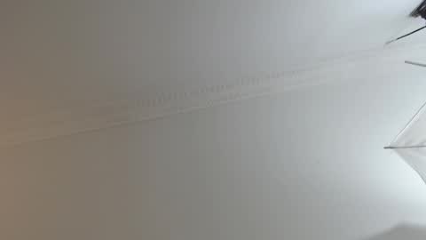 Snapshot of brandoncolee chatting on February 2025 12:29:01 PM BrandonCole online show from February 2025 12:29:01 PM