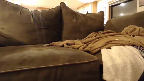 Snapshot of brandondot chatting on February 2025 05:51:02 AM brandondot online show from February 2025 05:51:02 AM