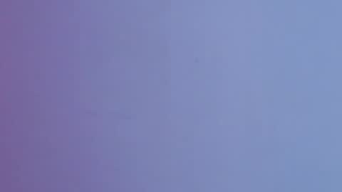 Brandy online show from December 2025 11:06:01 AM