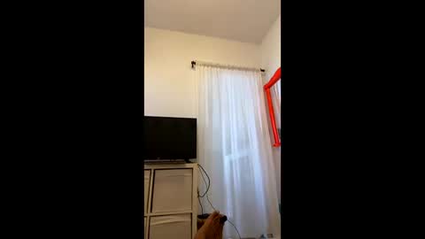brazilianb0yy online show from September 2025 09:22:02 AM