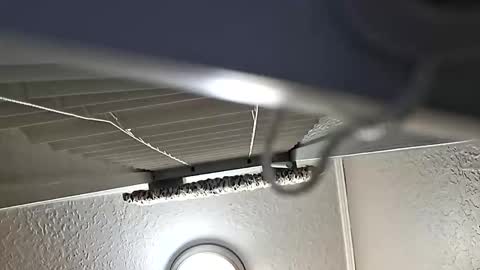 breeze316 online show from November 2025 11:11:01 AM