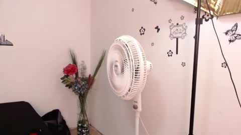 Snapshot of brenda_maz chatting on January 2025 03:15:01 PM Brenda online show from January 2025 03:15:01 PM