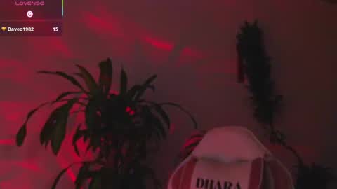 Snapshot of bri_von_dhara_ chatting on May 2026 10:43:02 AM Bri online show from May 2026 10:43:02 AM